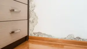 Water damage in a home