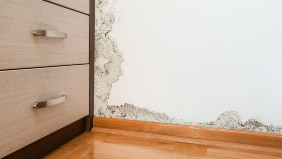 Water damage in a home