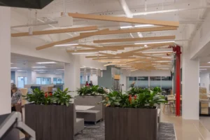 Wide shot of the open workspace at the Walsh Buffalo office