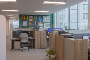 Wide shot of the open workspace at the Walsh Buffalo office