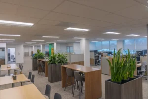 Wide shot of the open workspace at the Walsh Buffalo office