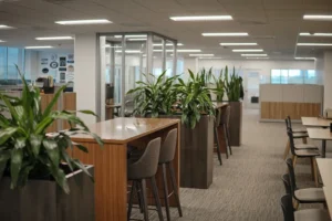 Wide shot of the open workspace at the Walsh Buffalo office