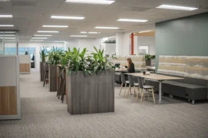 Wide shot of the open workspace at the Walsh Buffalo office